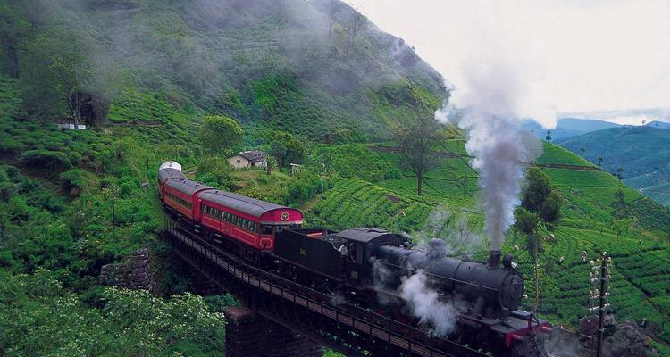 Un train à vapeur d'époque traverse un pont étroit à travers des plantations de thé en terrasses brumeuses sur une colline verdoyante.