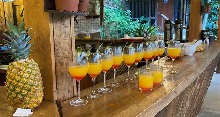 Rustic wooden bar lined with tall glasses of fresh orange juice, a pineapple and lush greenery in the background.
