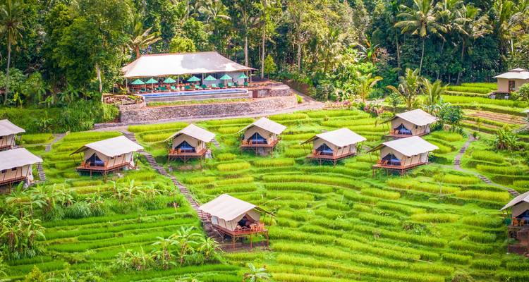 Luchtfoto van luxe tenthutten verspreid over levendige groene rijstterrassen met jungle achtergrond in Bali.