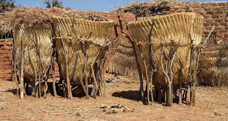 Traditional tall grain storage baskets made of straw stand on wooden stilts in a dry village yard.