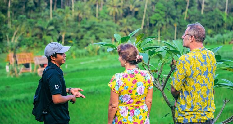 Lokale gids spreekt met reizigers voor levendige groene rijstvelden.