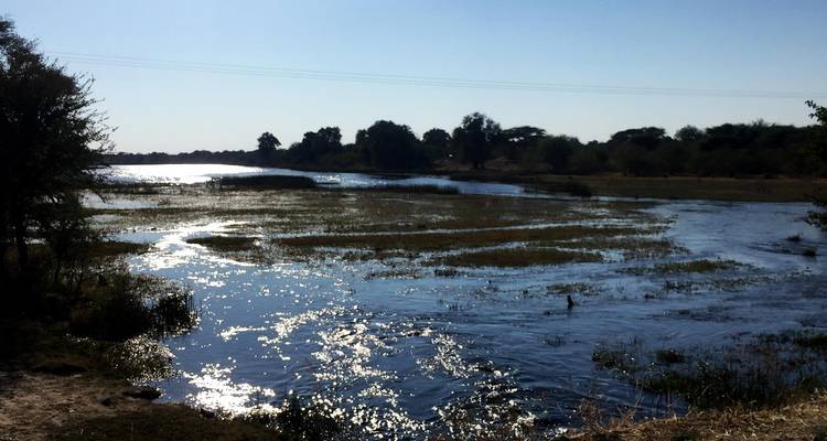 Sun-sparkled water winds through a grassy floodplain under a clear afternoon sky.