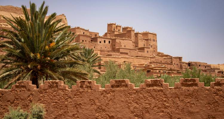 Historic earthen fortress and palm tree under clear desert sky.