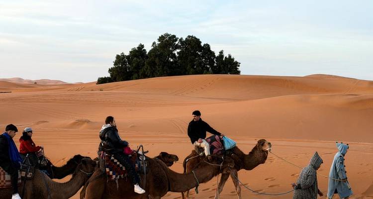 Camel caravan led across towering orange dunes of the Sahara Desert near Merzouga.