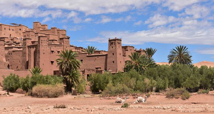 Earthen-red fortified village with tall towers rises above lush palms under a blue sky and scattered clouds.
