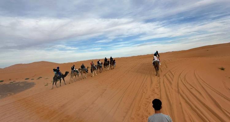 Long camel train with riders makes its way across open sand under a moody sky.