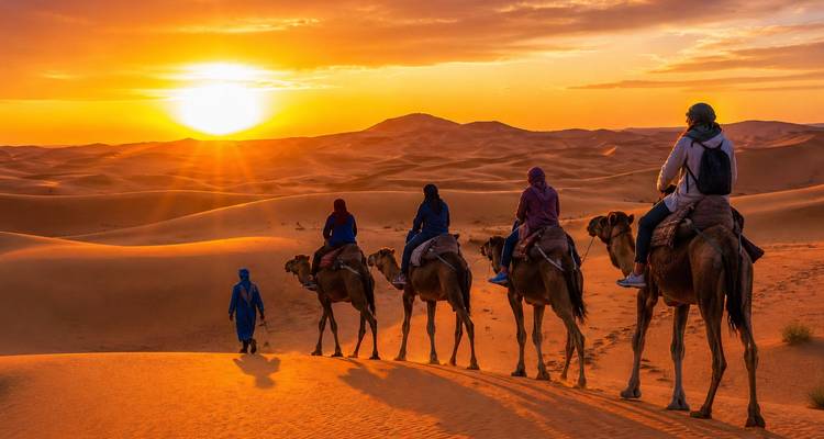 Camel caravan silhouetted against a fiery Sahara sunset as dunes glow orange.