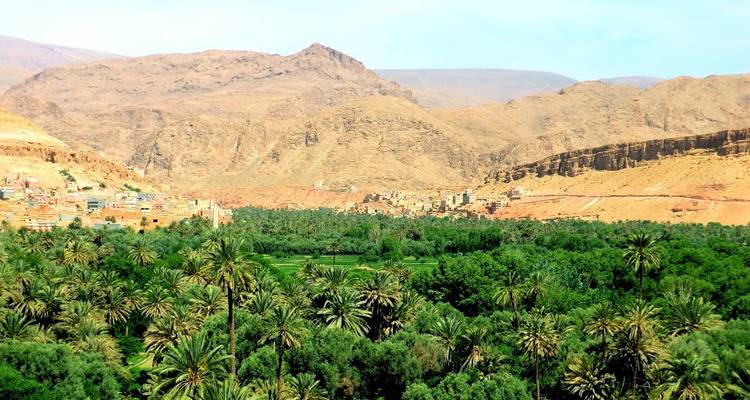 Oasis luxuriante de palmiers s'étendant vers une chaîne de montagnes ocre au loin sous un soleil éclatant.