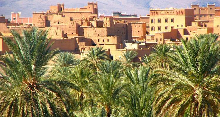 Dense palmeraie encadrant des bâtiments traditionnels en adobe d'un établissement désertique sous une lumière douce.