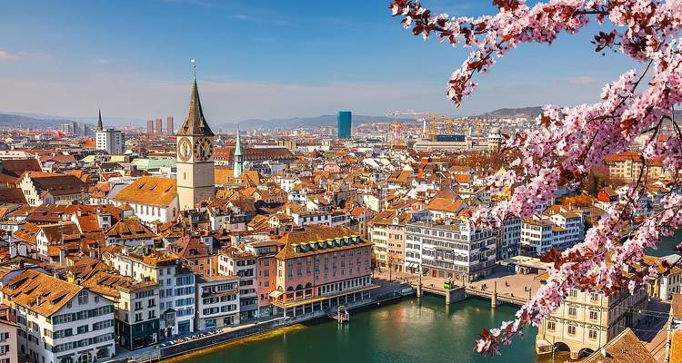 Panoramisch lentezicht over Zürichs oude stad en de Limmat rivier omlijst door kersenbloesems.