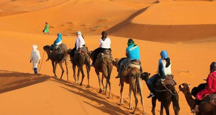 File de touristes à dos de chameaux menée par un guide à travers des dunes orangées ondulantes sous un soleil éclatant.