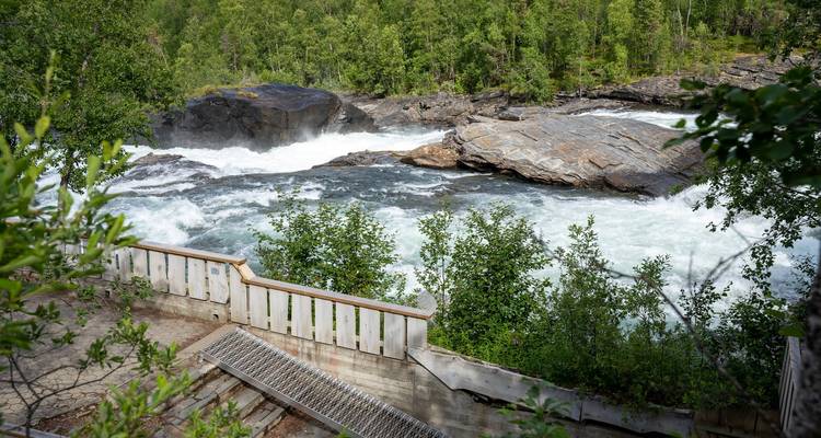 Reißende Stromschnellen eines Flusses, betrachtet von einem Holzdeck inmitten dichtem borealen Wald