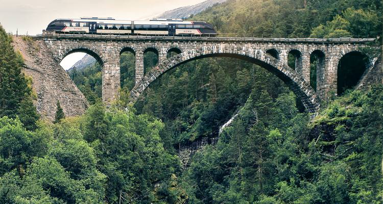 Moderner Personenzug überquert eine historische Steinbogenbrücke über eine bewaldete Schlucht.