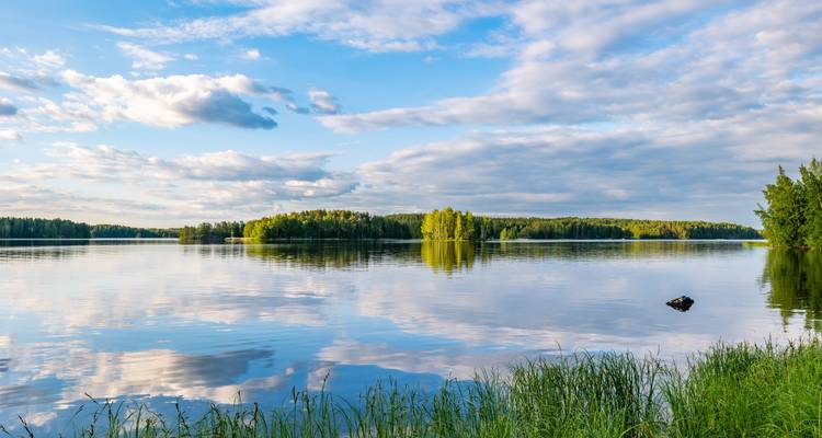 Ruhiger Waldsee, der blauen Himmel und Wolken spiegelt, mit Schilf im Vordergrund.