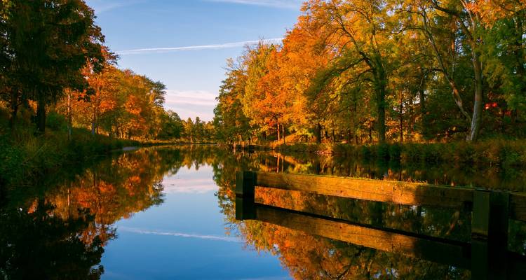Kanal gesäumt von leuchtenden Herbstbäumen, die sich perfekt im stillen Wasser spiegeln.