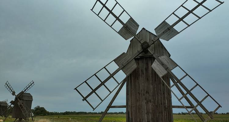 Moulins à vent traditionnels en bois se dressant sur une prairie ouverte sous un ciel couvert.