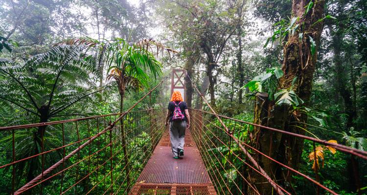 Excursionista solitario con una mochila colorida cruzando un puente de dosel brumoso en un denso bosque nuboso.