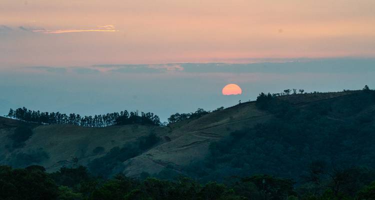 Sol rosa suave poniéndose detrás de colinas boscosas ondulantes y siluetas de árboles distantes.