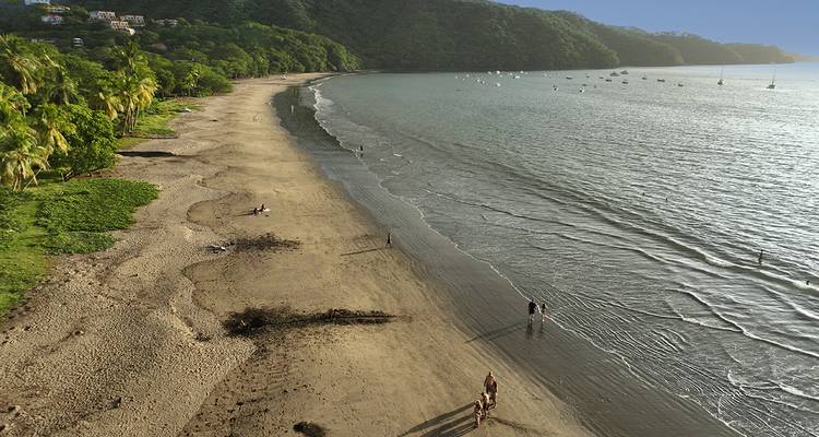 Luftaufnahme eines langen Sandstrands, der von grünem Dschungel gesäumt wird, mit ruhigen Gewässern der Bucht.