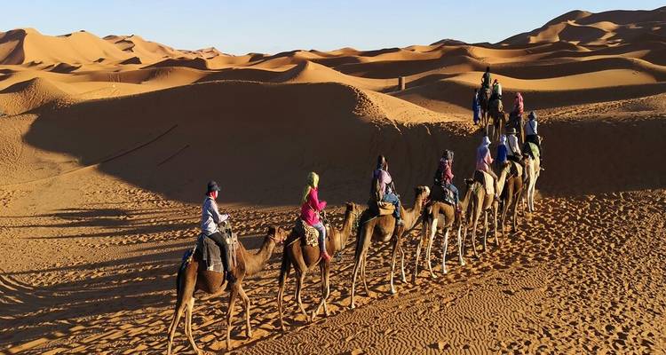 Longue caravane de chameaux avec des touristes traversant les sables ondulés du désert