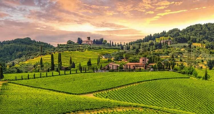 Las ondulantes viñedos toscanos y casas de campo se bañan en el resplandor ardiente del atardecer.