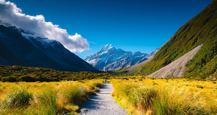 Sendero de grava a través de matas doradas que conduce al Monte Cook cubierto de nieve bajo un cielo azul