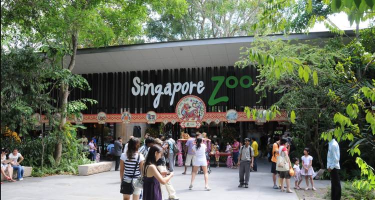 Ingang van de Singapore Zoo vol met gezinnen en bezoekers op een zonnige dag.