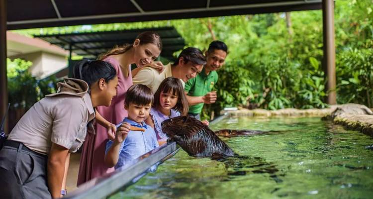 Een gezin komt in contact met een waterdier tijdens een educatief programma in een wildlife park.