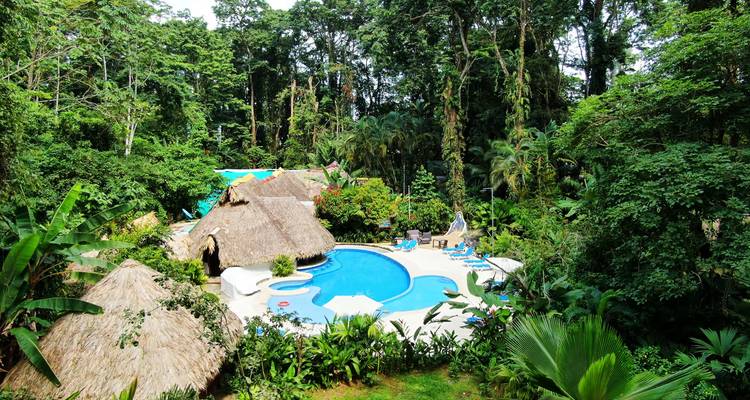 Un complexe hôtelier isolé dans la jungle avec une piscine aux formes libres entourée d'une dense forêt tropicale humide.