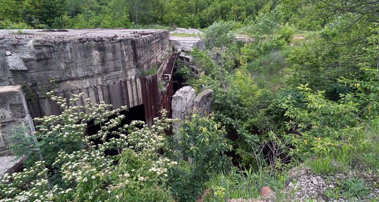 Ruinas de concreto cubiertas de vegetación de un búnker o estructura industrial se desmoronan en un denso bosque verde.