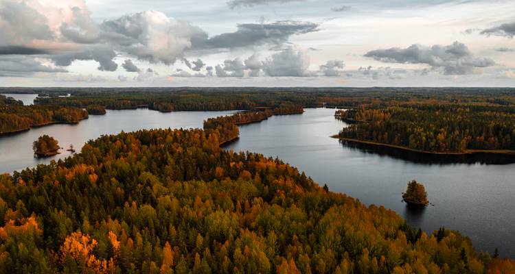 Herbstliche Luftaufnahme von gewundenen Seen und dichtem, mehrfarbigem Wald unter dramatischen Wolken in Lappland.