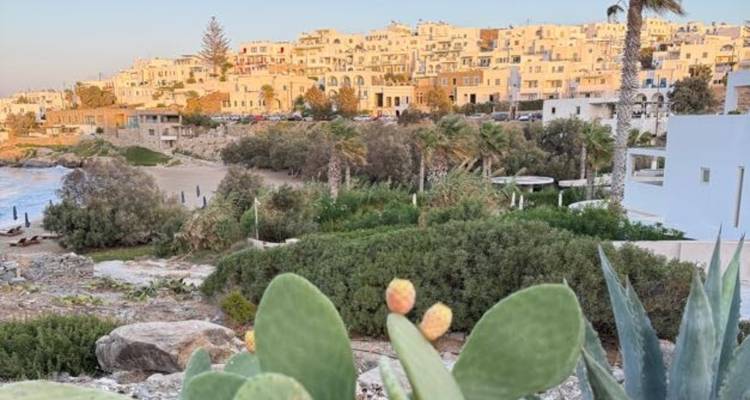 Village côtier aux bâtiments blancs et cactus au premier plan baignés dans une chaude lumière du soir.