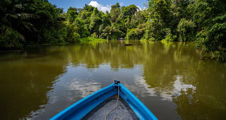 Bow of a blue canoe glides along a calm jungle river lined with dense green vegetation.