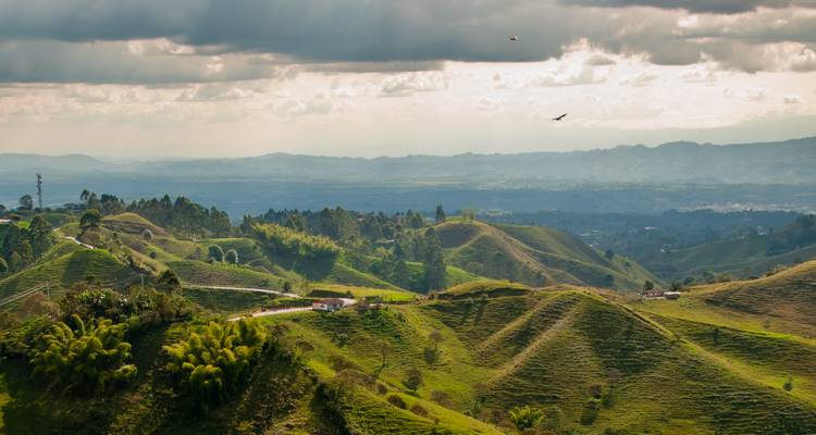 Vista expansiva sobre colinas verdes de café ondulantes y llanuras distantes bajo un cielo dramático en Colombia.