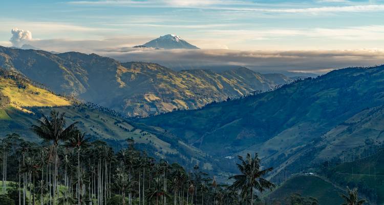 Valle andino expansivo salpicado de palmas de cera imponentes y un volcán coronado de nieve que se alza sobre cordilleras escalonadas bajo la luz matutina.