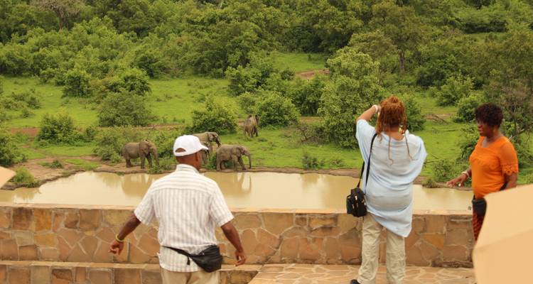 Los turistas fotografían elefantes bebiendo en un abrevadero en la exuberante sabana.
