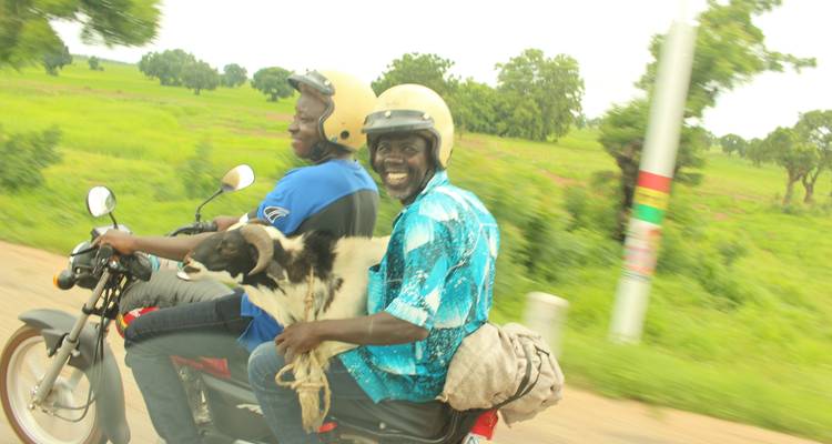 Dos hombres van en una motocicleta por un camino rural sonriendo, llevando una cabra.
