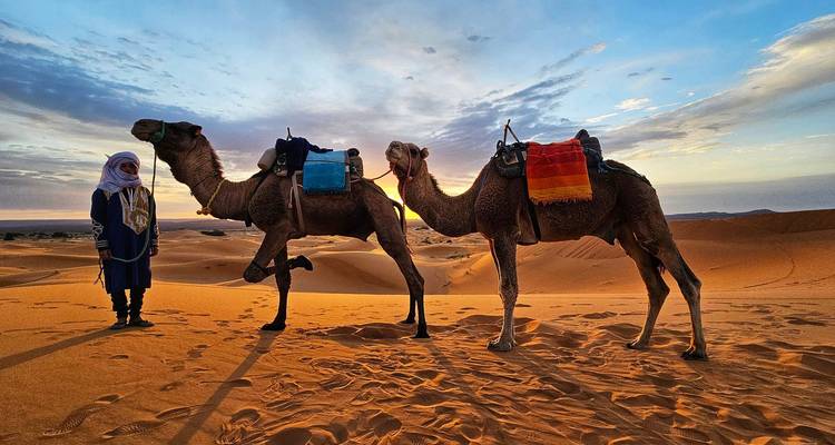 Responsable de chameaux et deux chameaux au lever du soleil sur les dunes ondulantes du Sahara (vue en double).