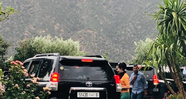 Travellers stand beside a parked SUV framed by mountain scenery and flowering shrubs.