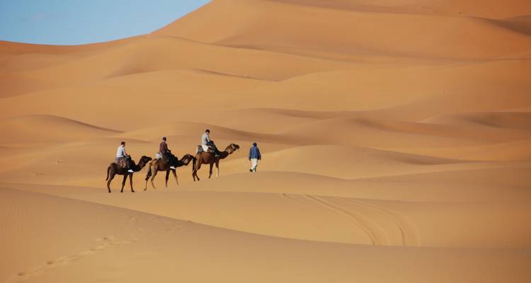 Karawane von Touristen, die auf Kamelen durch die weiten goldenen Sahara-Dünen reiten.