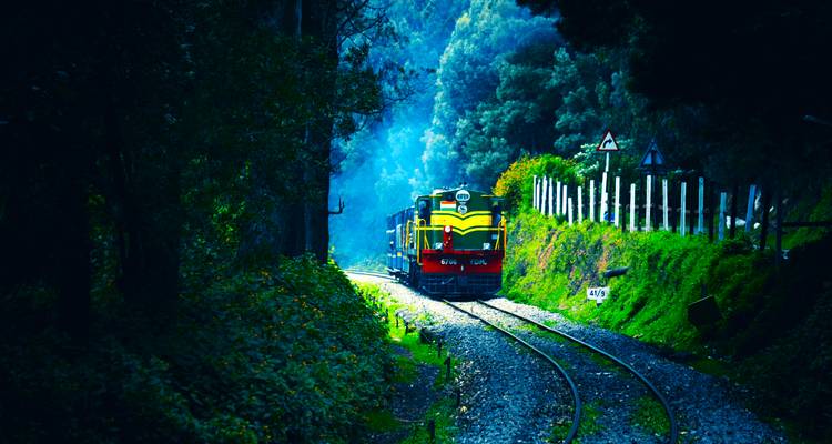 Locomotive patrimoniale colorée émergeant d'une forêt brumeuse le long de voies de montagne sinueuses à Ooty