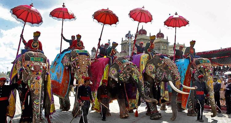 Défilé d'éléphants richement décorés avec des cornacs tenant des parasols rouges pendant le festival de Mysuru Dasara