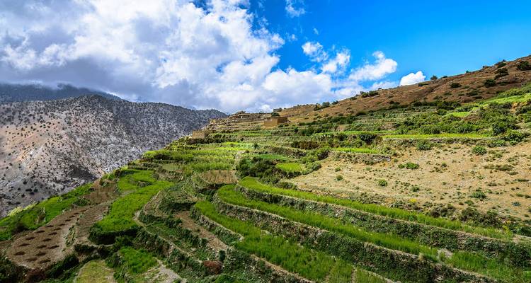 Sunlit terraced fields cascade down a green Atlas Mountain slope beneath a bright sky.