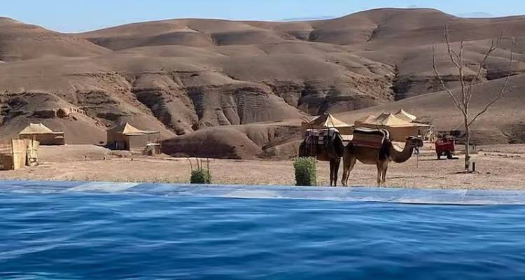 Two saddled camels stand beside a desert camp of beige tents overlooking a blue swimming pool and barren Agafay hills.