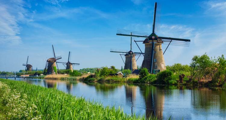 Row of historic windmills reflected in a calm canal amid lush Dutch countryside in Kinderdijk.