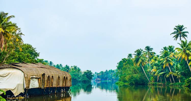 A thatched-roof Kerala houseboat rests on calm backwaters lined by towering coconut palms.