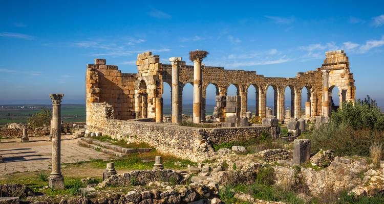 Sweeping view of Roman ruins at Volubilis with standing columns and arches against blue sky.