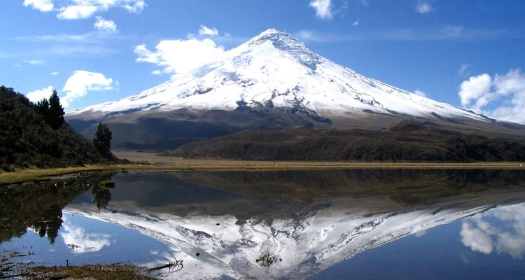 El icónico volcán Cotopaxi perfectamente reflejado en un lago tranquilo bajo un cielo azul brillante.