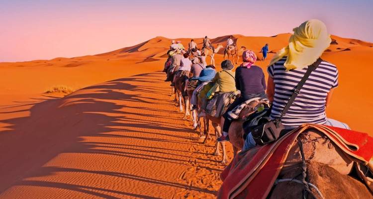 Larga caravana de camellos proyecta sombras sobre dunas rojizas al amanecer.
