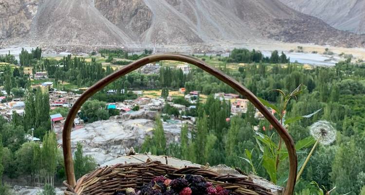 Mand met vers geplukte moerbeien op de voorgrond met uitzicht op een weelderige vallei bezaaid met dorpen en bergen.